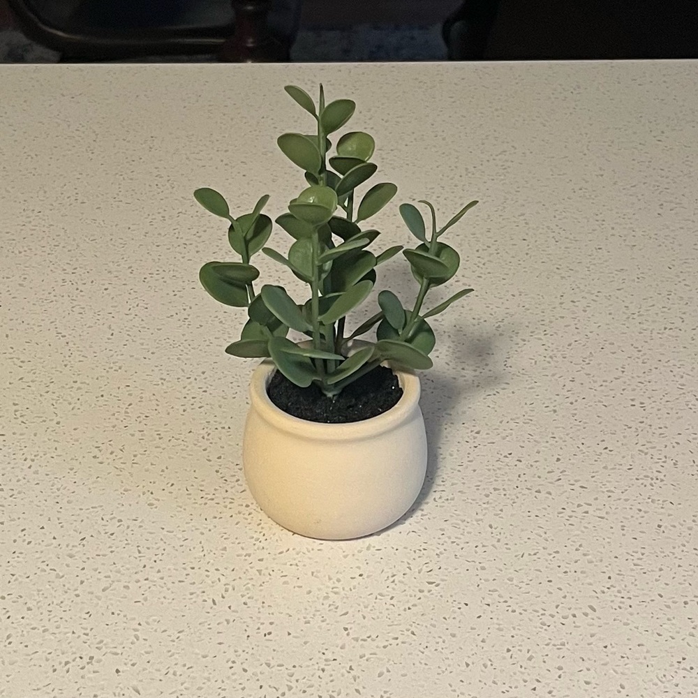 Threshold Green Faux Plant in Cream Pot